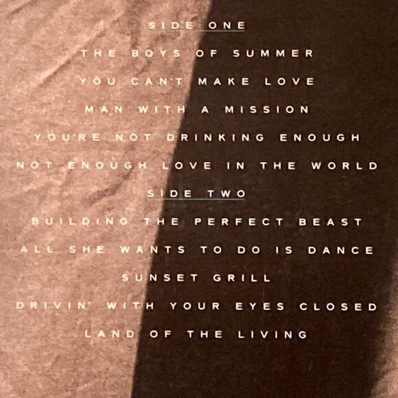 Don Henley 1984 Building The Perfect Beast Vinyl Record Album - Picture 4 of 10